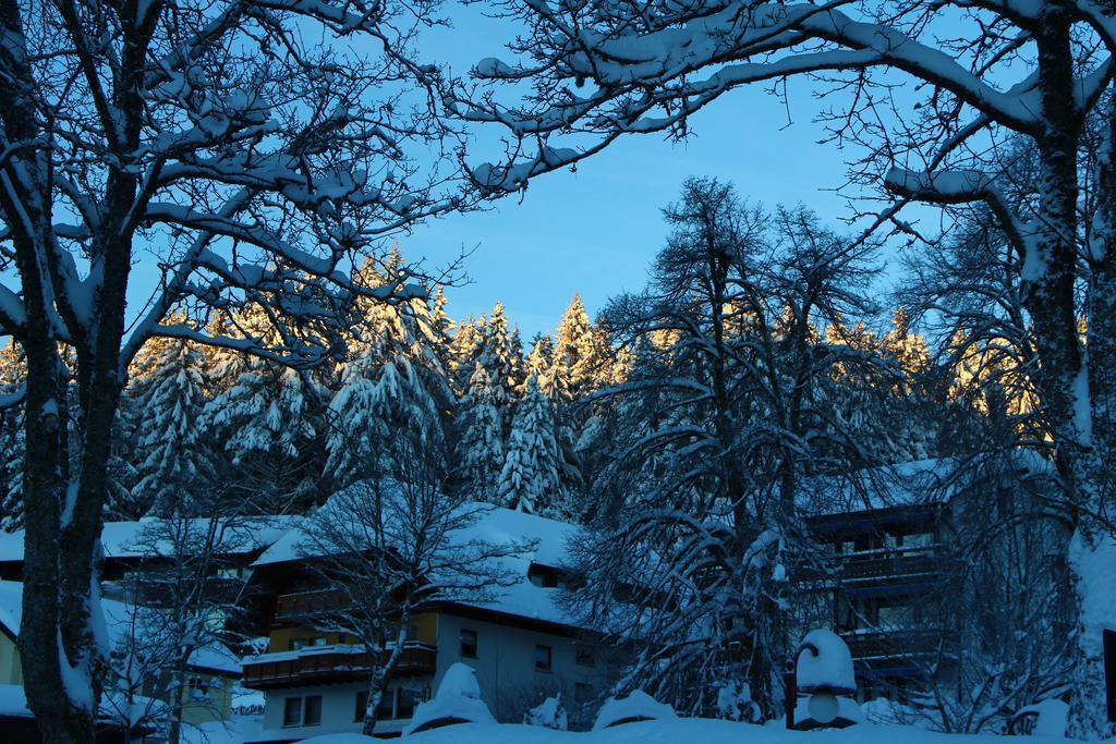 Gasthof Schwarzwaldtanne Schönwalde Exteriör bild