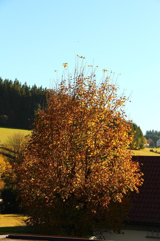 Gasthof Schwarzwaldtanne Schönwalde Exteriör bild
