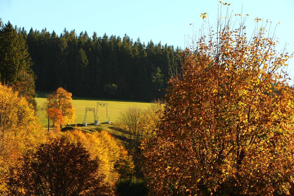 Gasthof Schwarzwaldtanne Schönwalde Exteriör bild