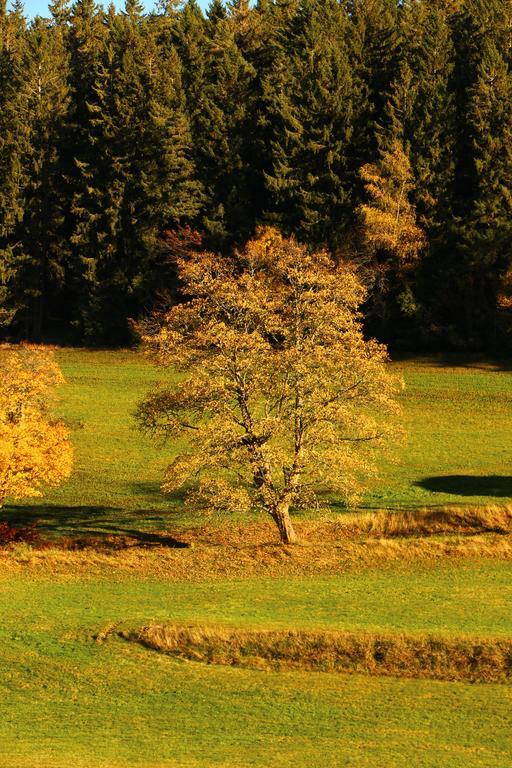 Gasthof Schwarzwaldtanne Schönwalde Exteriör bild